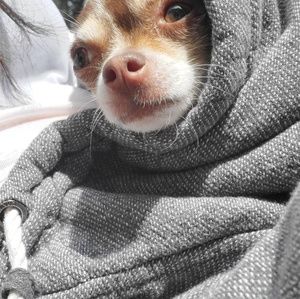 Meet your Posher, Brida